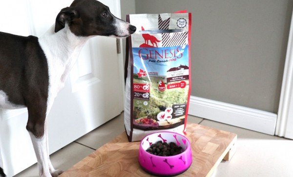 Hundefutter von Platinum &amp; Genesis im Test