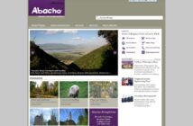Jeder nutzte es: Abacho Suchmaschine (Foto: Screenshot, archive.org)